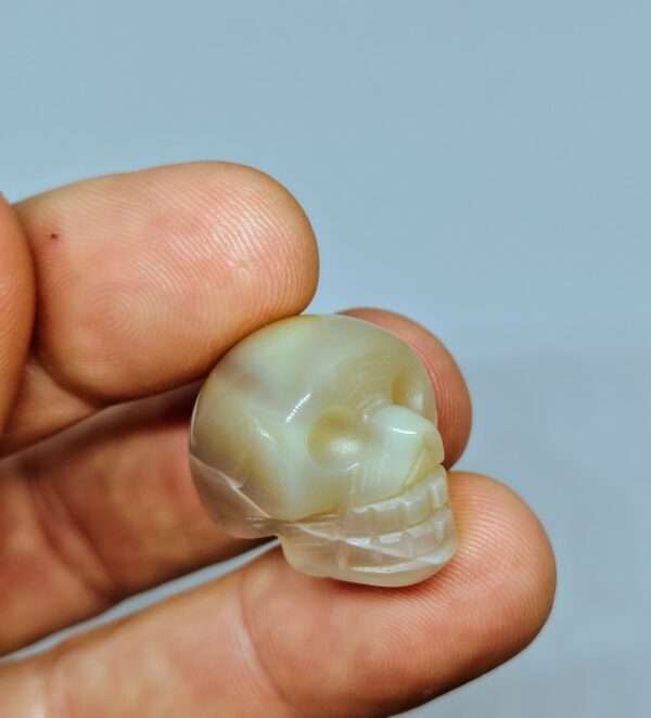 Crâne de cristal agate