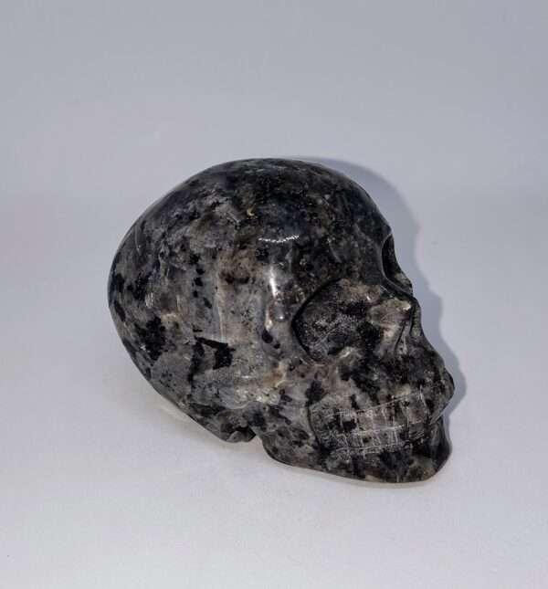 Crâne de cristal en Larvikite – Image 3