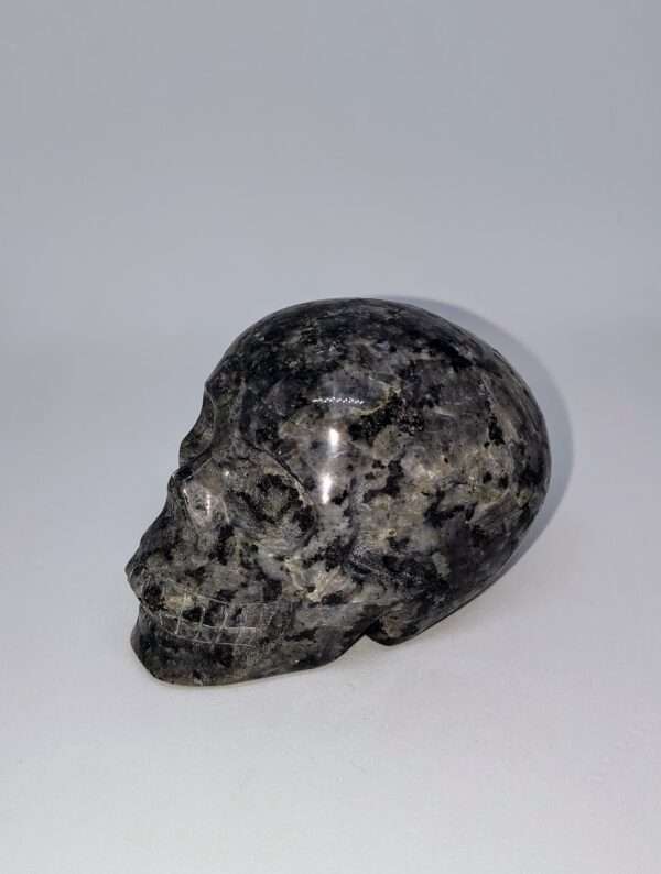 Crâne de cristal en Larvikite – Image 2